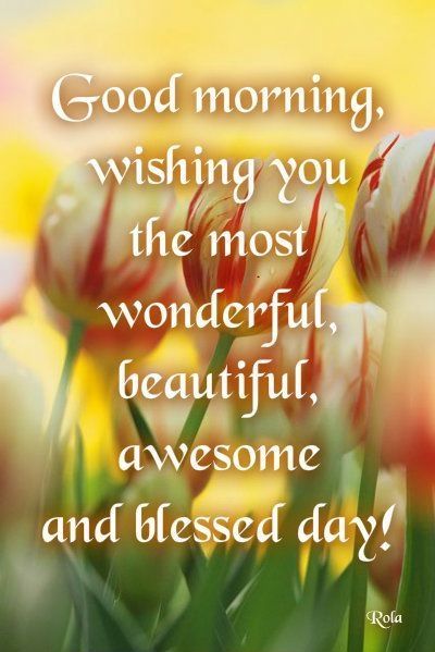 Good Morning, wishing you the most wonderful, beautiful, awesome and blessed day.
