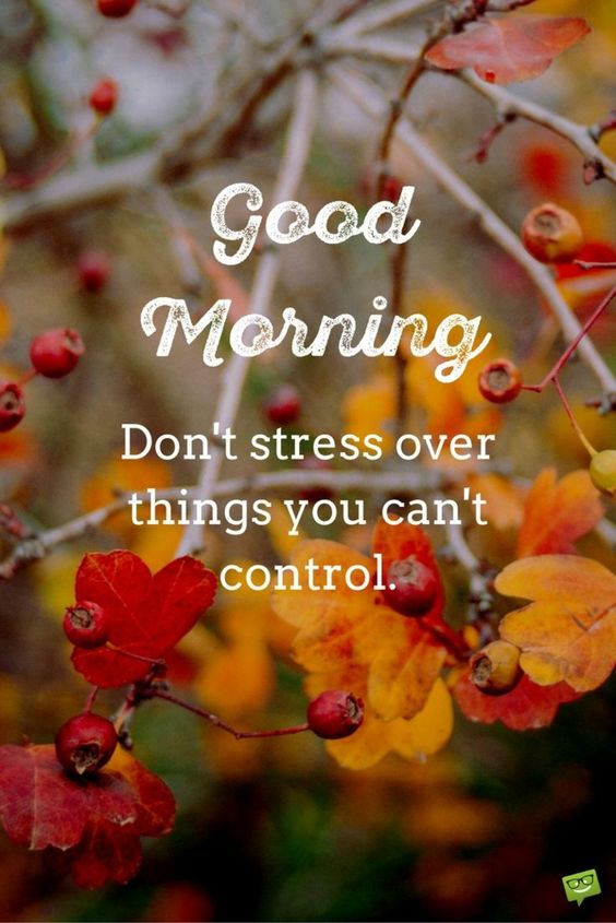 Good Morning Don't stress over things you can't control.