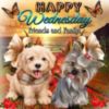 Happy Wednesday Friends and Family