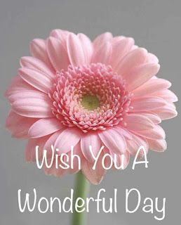 Wish You a Wonderful Day