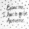 Excuse me, I have to go be Awesome.