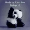 Hands up if you love Fridays :-) Cute Panda
