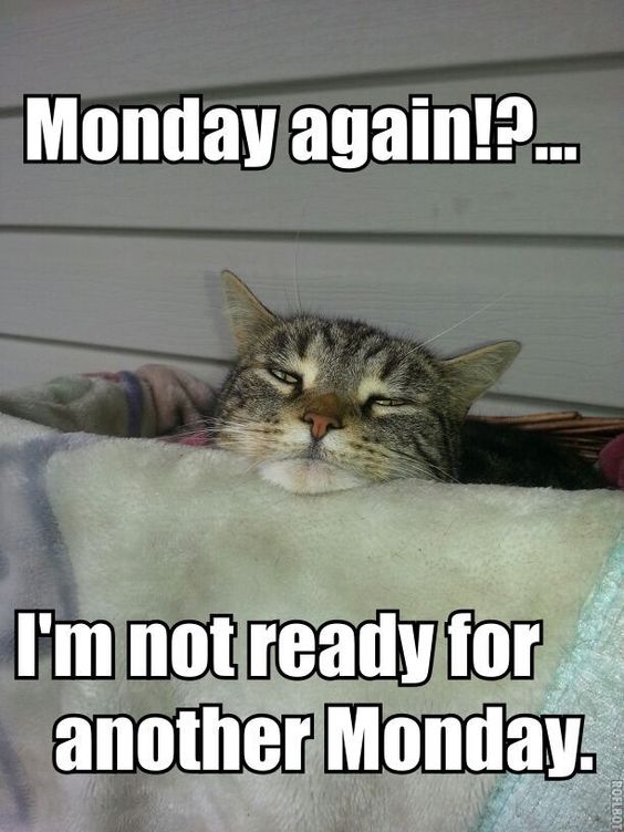 Monday again!?...I'm not ready for another Monday