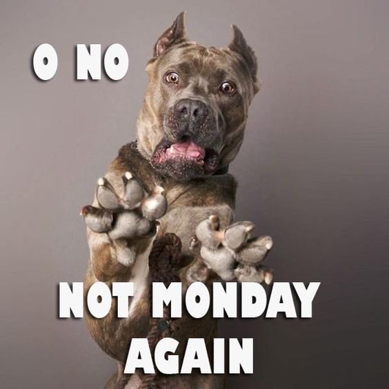 Not Monday Again!