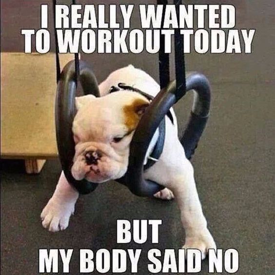 Monday Meme Workout