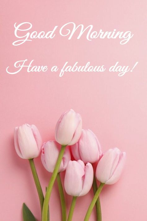 Good Morning! Have a fabulous day!