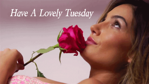Have a Lovely Tuesday