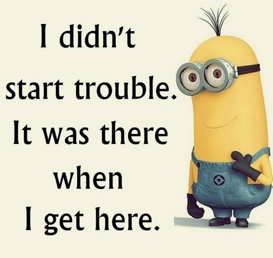 I didn't start trouble. It was there when I get there. - Minion