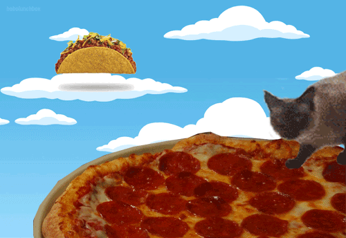 LOL Cat Taco Pizza