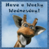 Have a Wacky Wednesday!