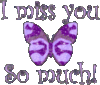 I miss you So much! -- Purple Butterfly