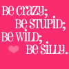 Be Crazy Be Stupid Be Wild Be Silly