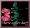 Have a Nice Day!