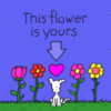 This flower is yours.