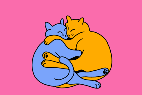 Hugs Cats