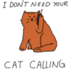 I don't need your cat calling