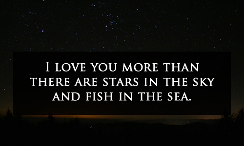 I Love You More Than There Are Stars In The Sky And Fish In The Sea.