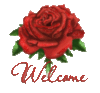 Welcome - Red Rose