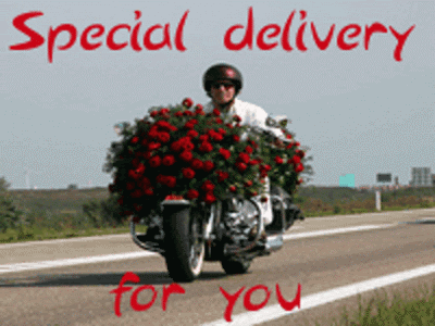 Special Delivery for You Have a Nice Day