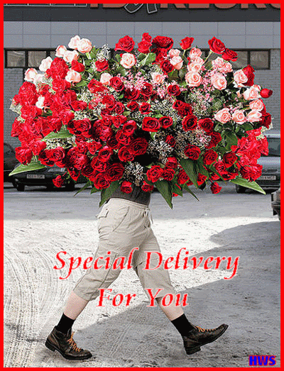 Special Delivery for You 