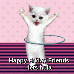 Happy Friday Friends - LOL Cat