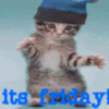 It's Friday! - LOL Cat