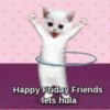 Happy Friday Friends - LOL Cat