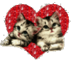 Love - Heart and Kittens