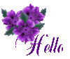Hello - Purple Flowers