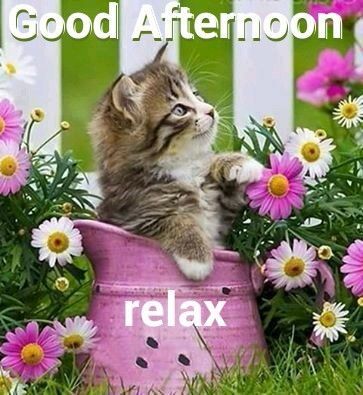 Good Afternoon relax