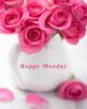 Happy Monday -- Pink Roses