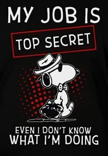 My Job Is Top Secret Even I Don't Know What I'm Doing