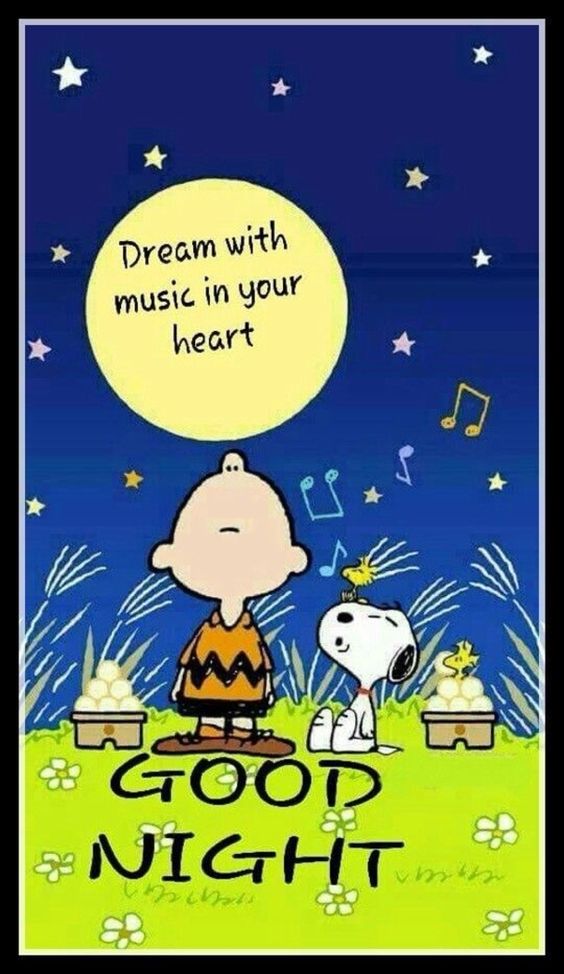 Good Night Dream with Music in your Heart 