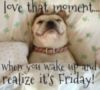 Love that moment... when you wake up and realize it's Friday!