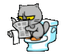 Funny Cat in the Toilet