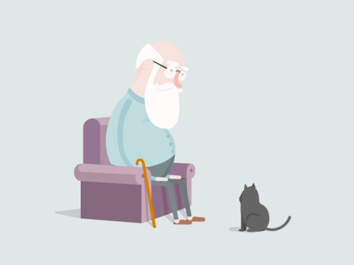 Old Man and Cat
