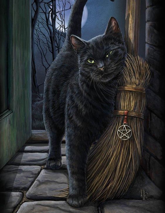Black Witch Cat