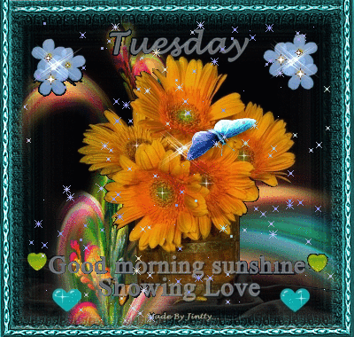 Tuesday Good Morning Sunshine Showing Love