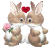 Cute Bunny Kiss