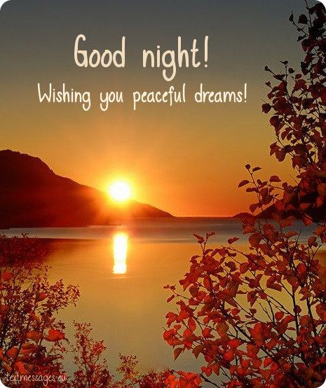 Good Night! Wishing you peaceful dreams! 