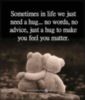 Sometimes in life we just need a hug... no words, no advice, just a hug to make you feel you matter.