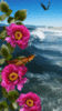Sea and flowers