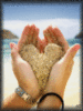 Love Beach Sand Heart