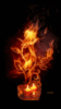 Flower in fire