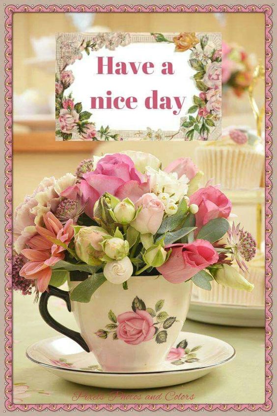 Have a Nice Day