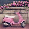 Pink Scooter and Roses