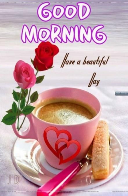 Good Morning Have a Beautiful Day