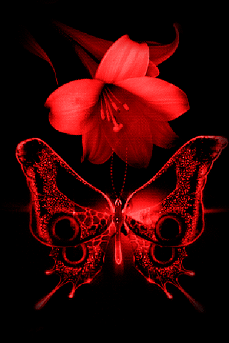 Red Flower and Butterfly