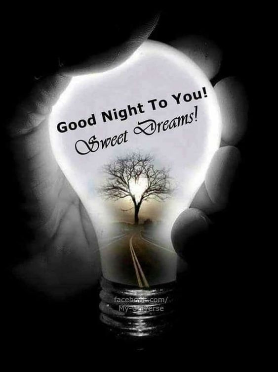 Good Night Sweet Dreams