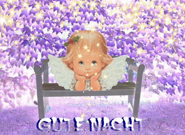 Gute Nacht (Good Night in German)